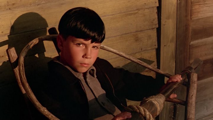 ⁣The Reflecting Skin (1990) (1080p)🌻 Movies