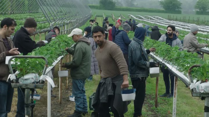 ⁣Unforgotten S06E02 1080p WEBRip 10Bit DDP2 0 HEVC-d3g