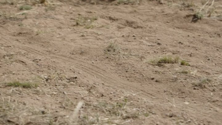 ⁣Dark Winds S04E03 1080p x265-ELiTE