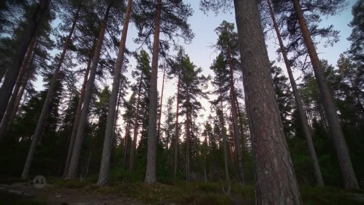 ⁣MonsterQuest S05E08 720p HEVC x265-MeGusta