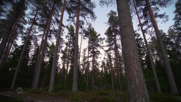 ⁣MonsterQuest S05E08 720p WEB H264-JFF