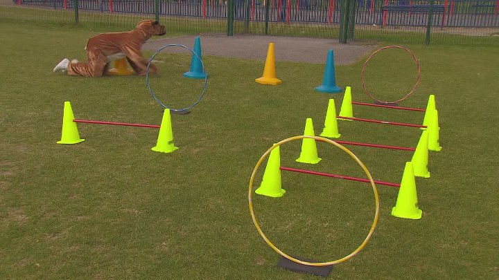 ⁣Sooty 2011 S02E19 1080p WEB H264-SKYFiRE