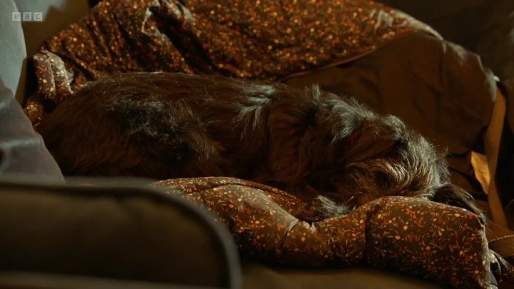 ⁣Mortimer And Whitehouse Gone Fishing [S06E03]