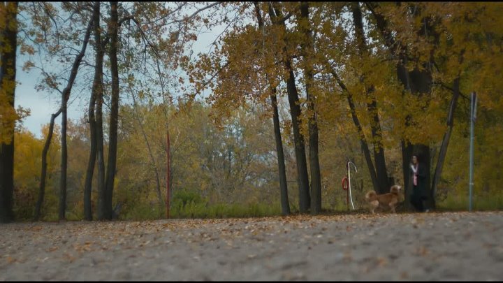 Memory of a Killer S01E05 1080p x265-ELiTE