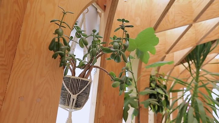 ⁣Diners Drive-Ins And Dives S54E07 720p WEB H 264-JFF