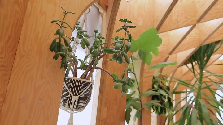 ⁣Diners Drive-Ins and Dives S54E07 1080p AV1 10bit-MeGusta