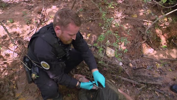 ⁣Cops S37E37 1080p WEB h264-BAE