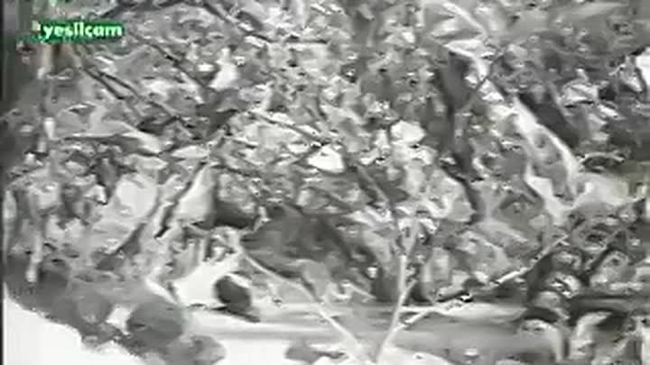 ⁣Kuyu (1968) 240p WEBRİp -TR -