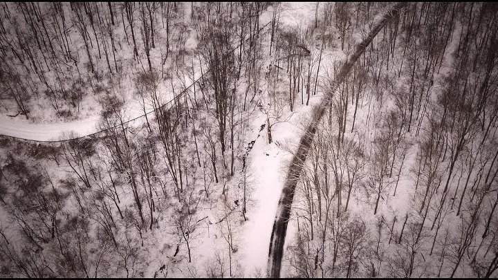 ⁣Friends Like These The Murder of Skylar Neese S01E03 1080p WEB h264-GRACE