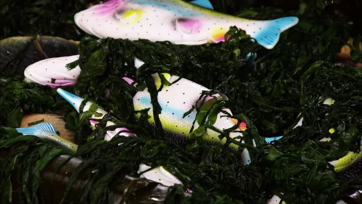 ⁣Cutthroat Kitchen S11E22 Duck LOrange is the New Black Coffee 1080p HEVC x265-MeGusta