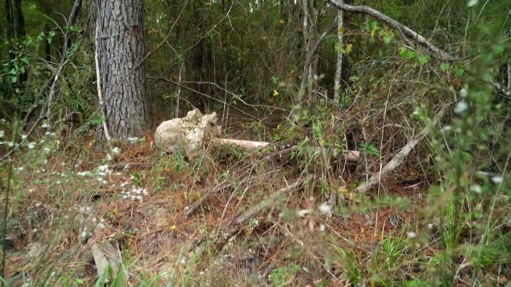 ⁣48 Hours S38E19 720p HEVC x265-MeGusta