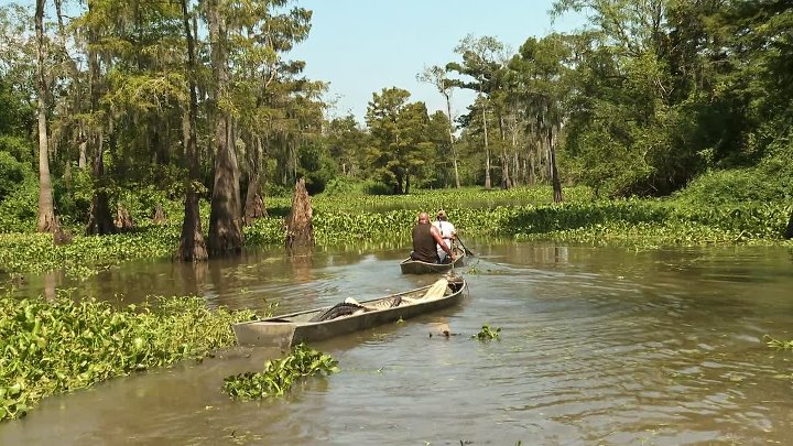 ⁣Swamp People S17E08 1080p WEB h264-EDITH
