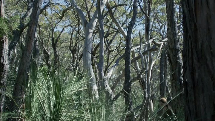 ⁣Frankenstein's Bride 2026 1080p AMZN WEBRip x264 5 1-ASYLUM