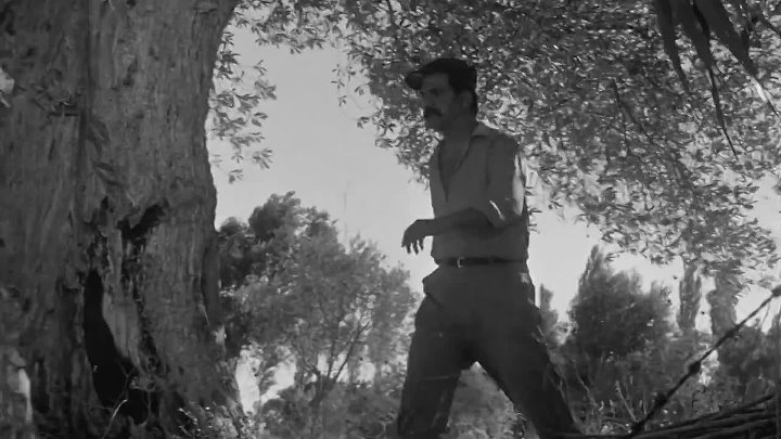 ⁣Dry Summer -Susuz Yaz (1963) CRITERION 1080p H264 BluRay -TR -