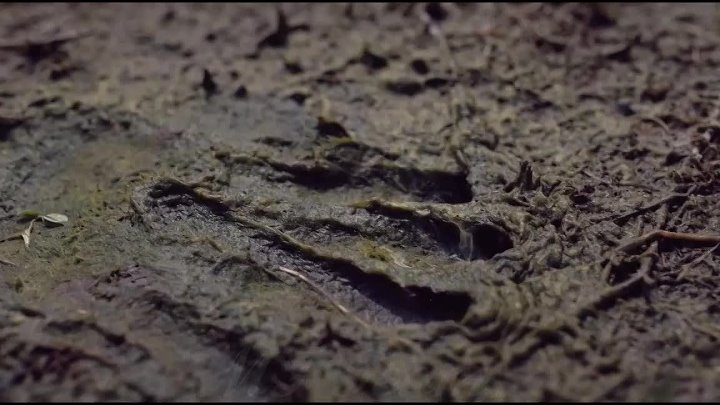 DAR 1 SEZONA 4 EPIZODA