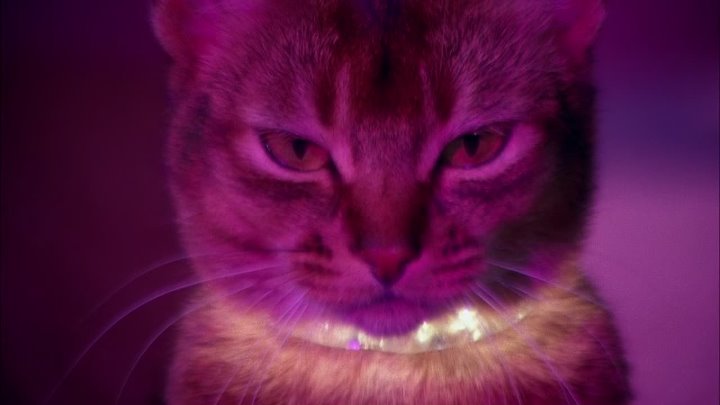 ⁣The Cat From Outer Space (1978) (1080p)🌻 Animation & Family Movies