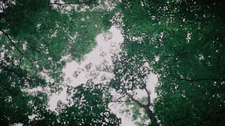 ⁣The Hermit 2025 1080p WEBRip x264 AAC5 1-[YTS BZ]