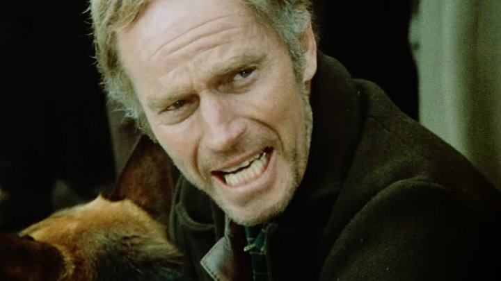 ⁣The Call Of The Wild (1972) (1080p)🌻 Animation & Family Movies