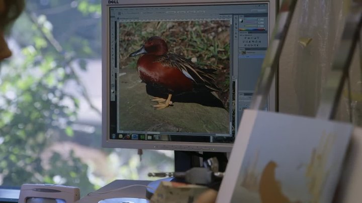 ⁣The Million Dollar Duck (2016) Documentary (1080p)