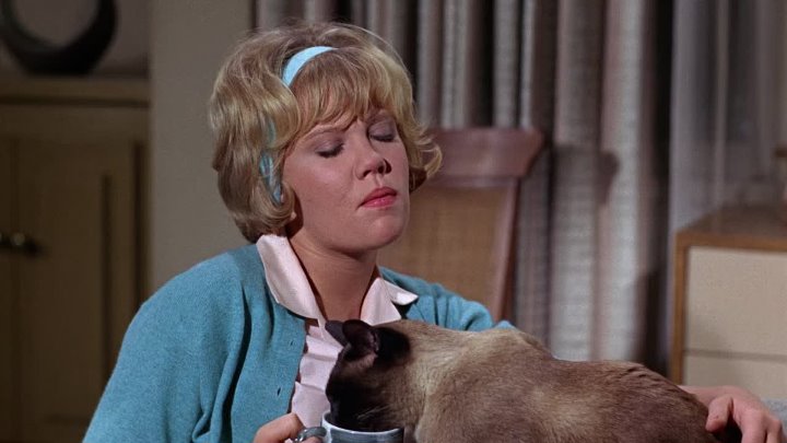 ⁣That Darn Cat (1965) (1080p)🌻 Animation & Family Movies