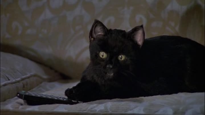 ⁣Sabrina Teenage Witch [S02E08] Inna-Gadda-Sabrina