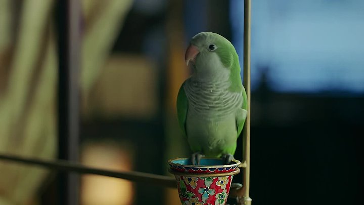 ⁣Story Of Yanxi Palace [S1E56]