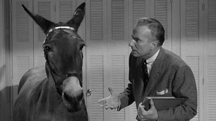 ⁣Francis In The Haunted House (1956) (1080p)🌻 Black & White Films