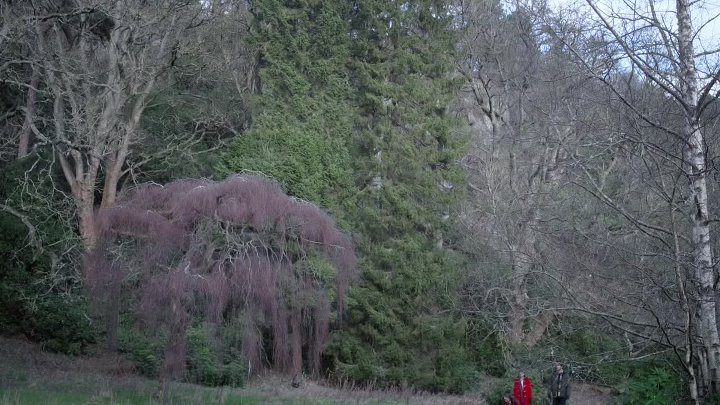 ⁣Christmas In Scotland 2023