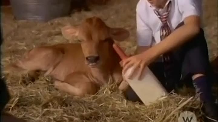 ⁣Touched by an Angel - S06E05 - Til Death Do Us Part