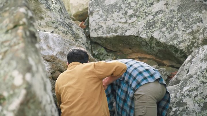 ⁣The Nature of Romance 2021