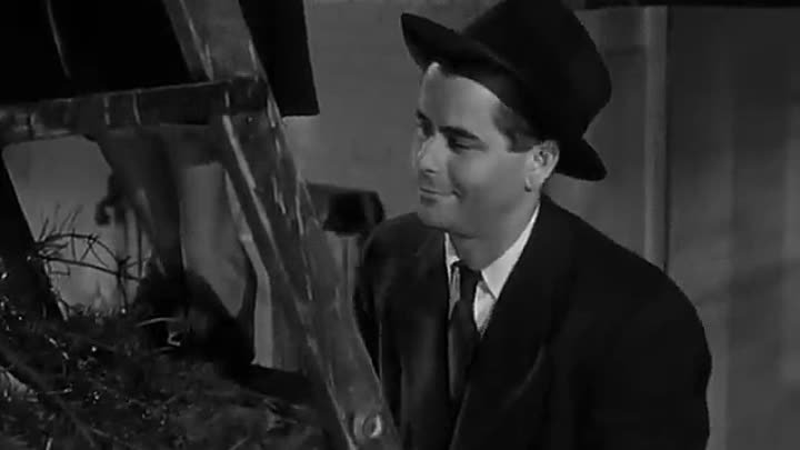 ⁣Mr Soft Touch (1949)🌻 Black & White Films