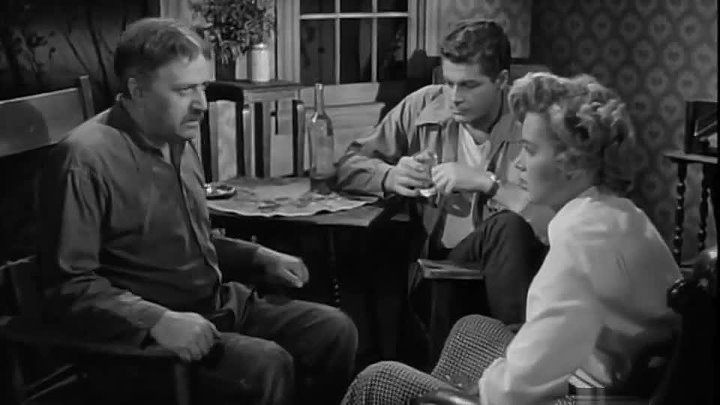 ⁣Pickup (1951)🌻 Film Noir