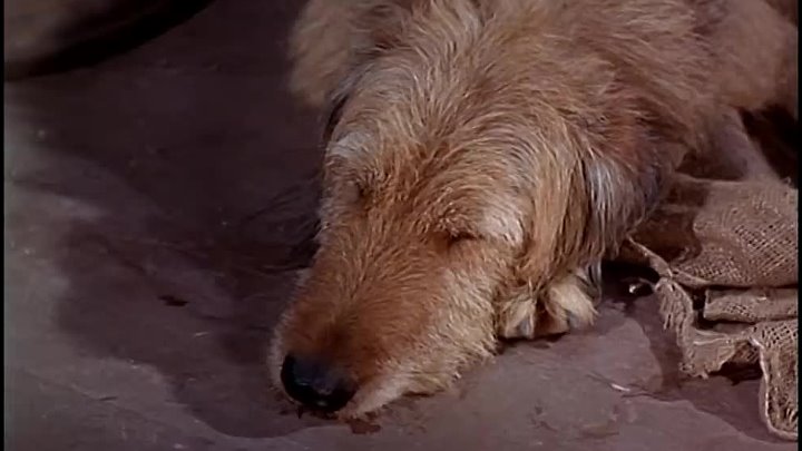 ⁣Bonanza (1963) [S4E26] - Any Friend of Walter's