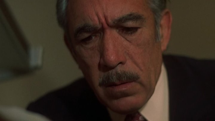 ⁣The Don Is Dead (1973) (720p) 🌻 Movies