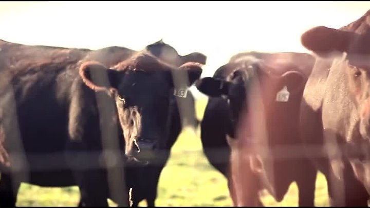 ⁣A Prayer For Compassion (2019) Documentary (720p)