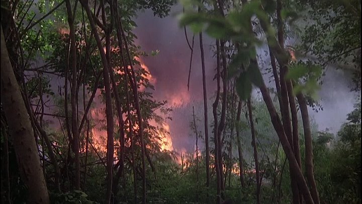 ⁣Magnum P I [S03E19] Two Birds of a Feather