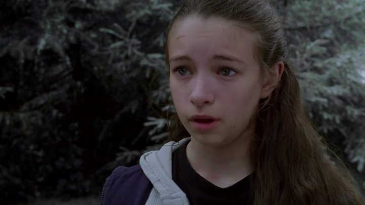 ⁣Pictures Of Hollis Woods (2007) Tv Movie (720p)🌻 Movies