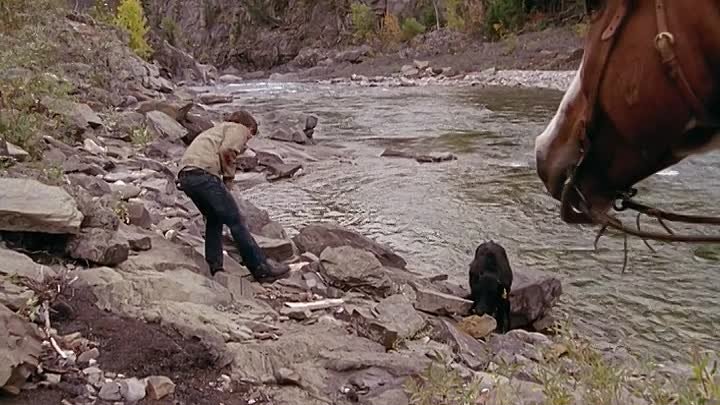 ⁣Heartland [S01E07] Come What May