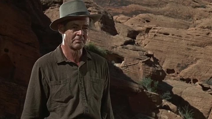 ⁣The Professionals (1966) (720p)🌻 Movies