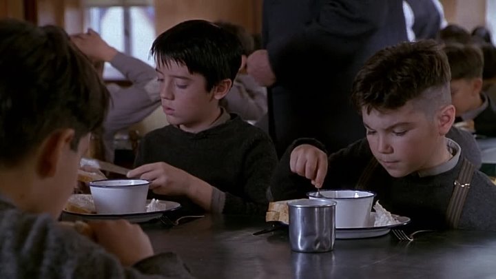 ⁣The Education Of Little Tree (1997) (720p)🌻 Movies