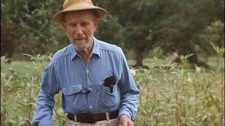 ⁣Hallmark To Dance With The White Dog (1993) DvDrip🌻 Movies