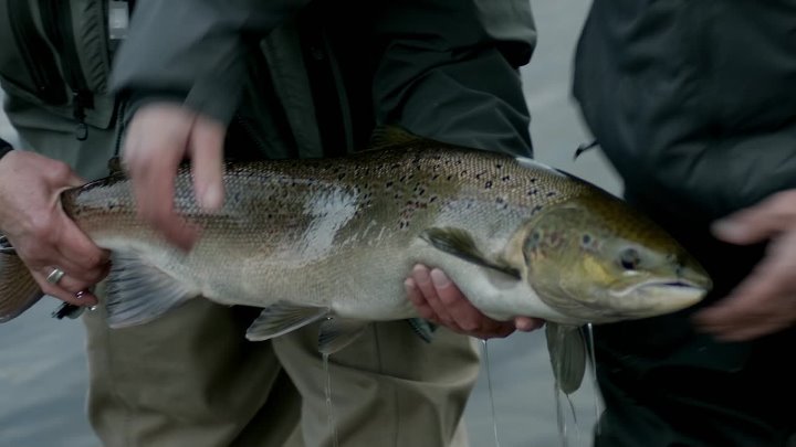 ⁣Mortimer and Whitehouse Gone Fishing S03E01