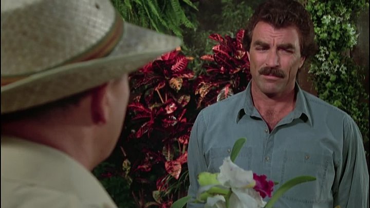 ⁣Magnum P I S7 E11 Death of the Flowers