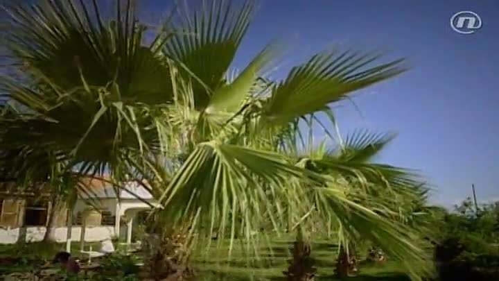 ⁣Nasljeđe jedne dame 30