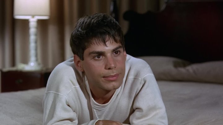 ⁣Bless The Beasts And Children (1971) (1080p) 🌻 70's Movies