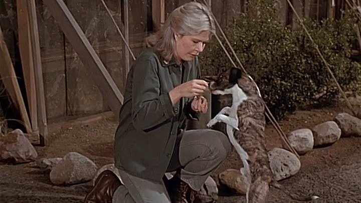 ⁣MASH S06E09 - Images