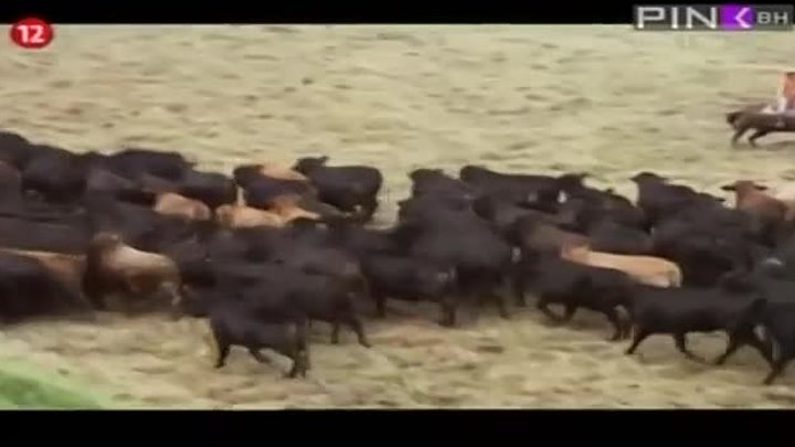 ⁣Naslednici (2007) Epizoda 47