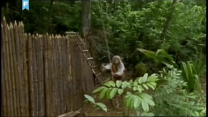 ⁣Robinzon Kruso 02 - MF Team