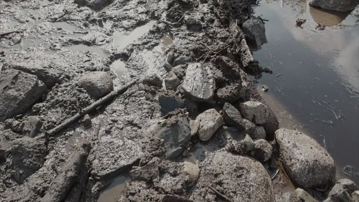 ⁣The Curse of Oak Island S13E15 1080p HEVC x265-MeGusta