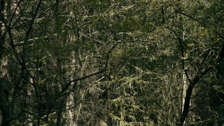 ⁣Britains Countryside Killers S01E02 1080p WEB H264-SKYFiRE